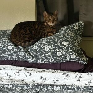 Meet your Posher, Kelley